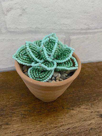 succulent plant in french Beaded Flower Kit Echeveria Succulent Plant Craft. French Beading kit. –  The Bead Selection
