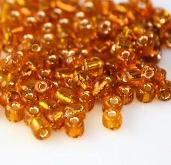 BEADS0213-0038