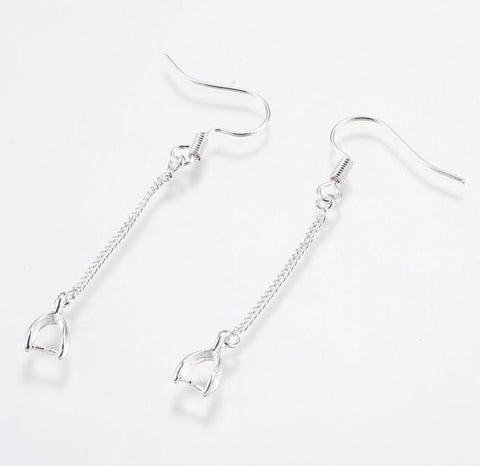 2 Fish Hook Earrings 18mm With Hanging Pendant Bail Ear Wires Silver Plated AK20